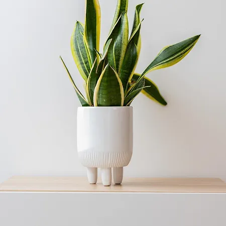 Apartament Spacious Family Starogardzka By Rent Like *